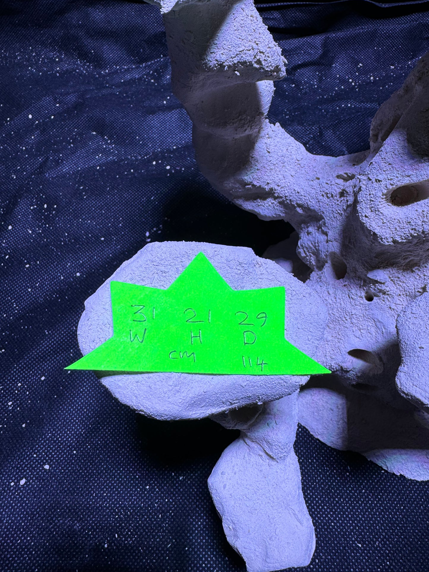 Ceramic Reef Rock Platform