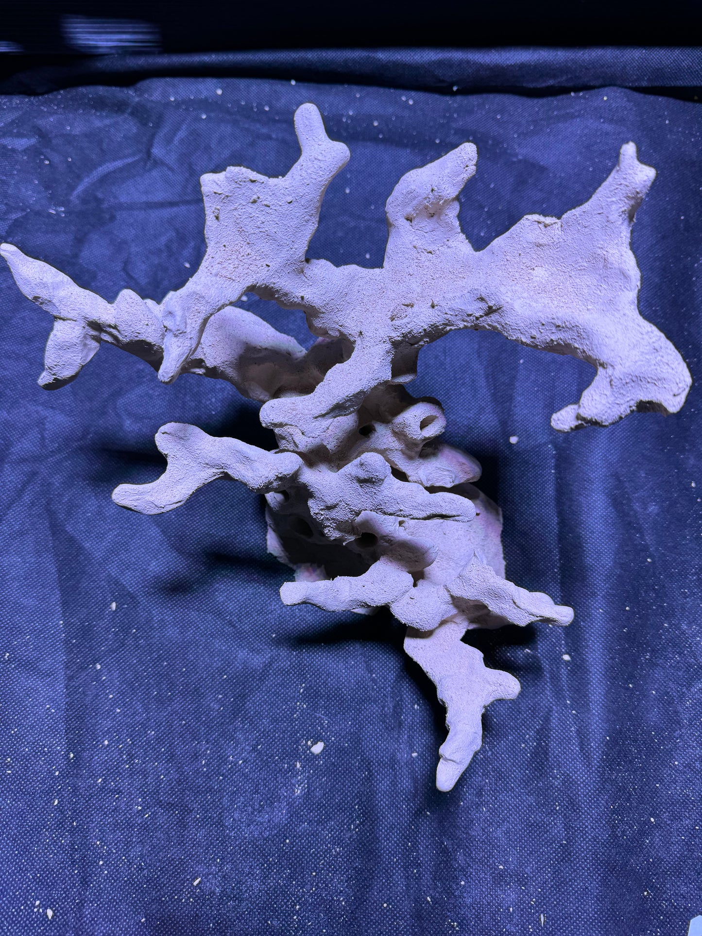 Ceramic Reef Rock Nano