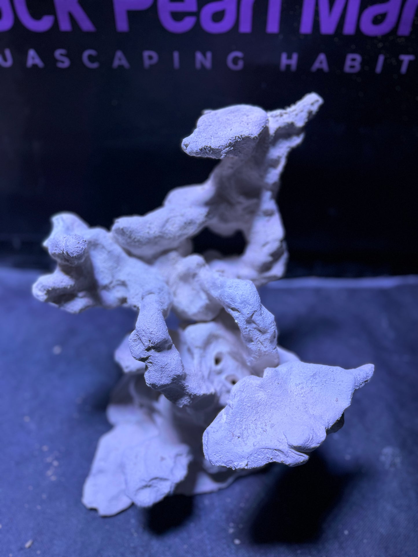 Ceramic Reef Rock Central Ledge