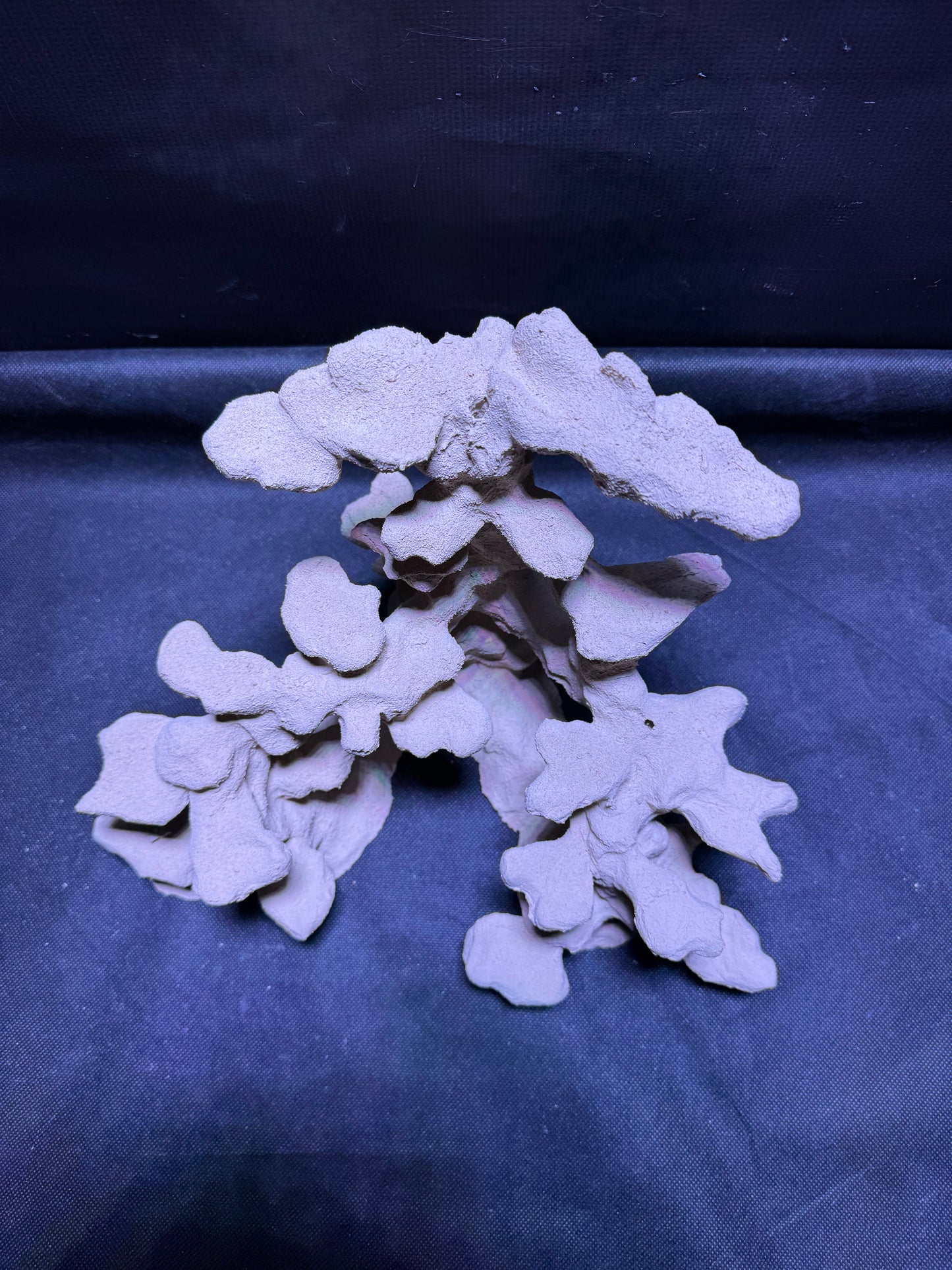 Ceramic Reef Rock Platform