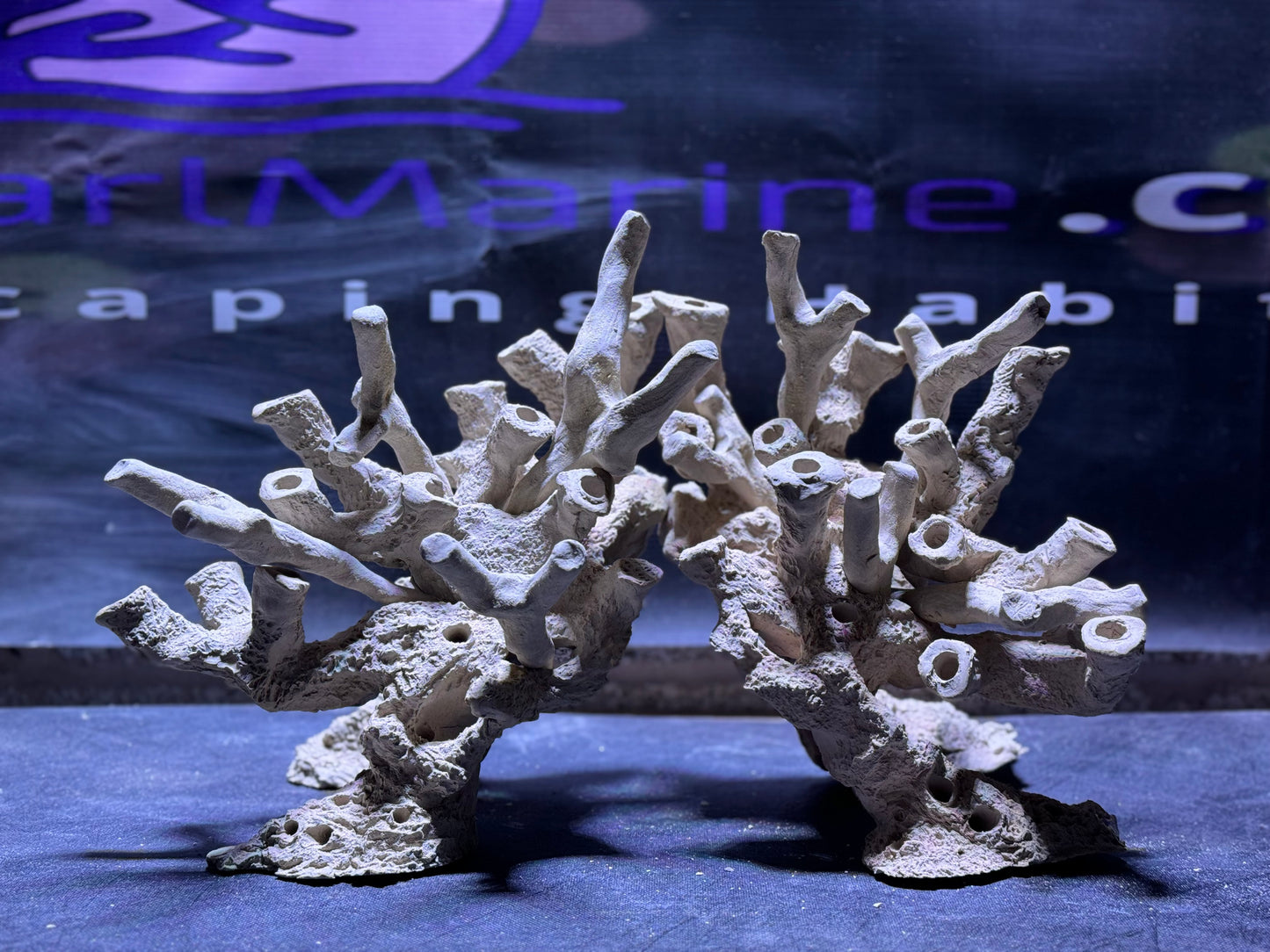 Ceramic Reef Rock
