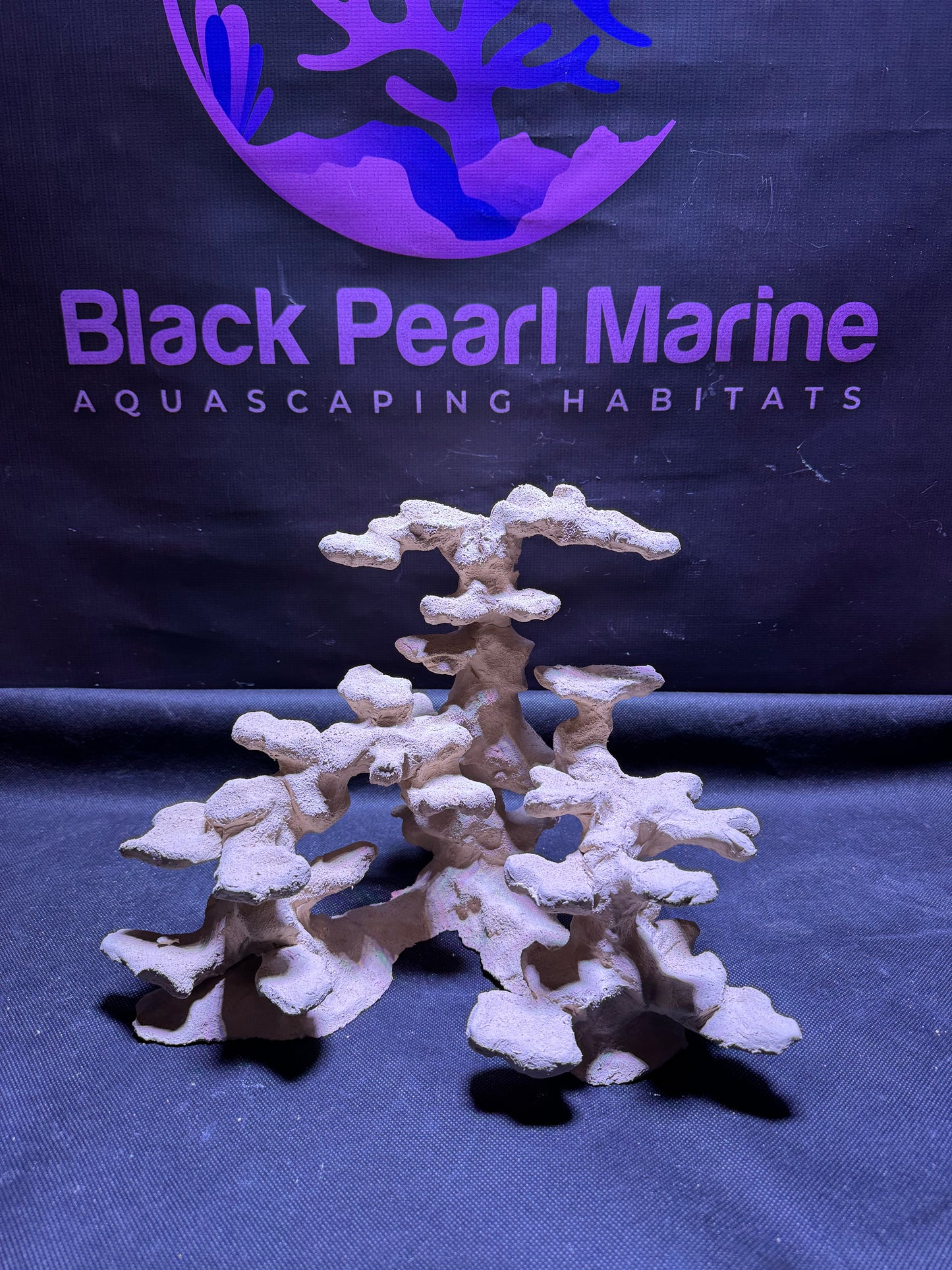 Ceramic Reef Rock Platform