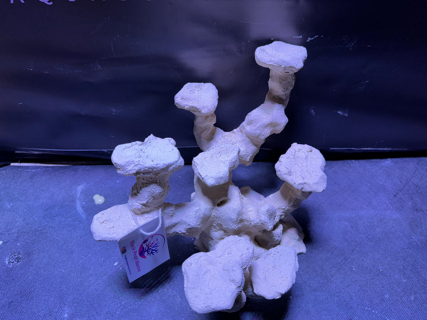 Ceramic Reef Platform Nano (W30cm/H27cm/D22cm) 008