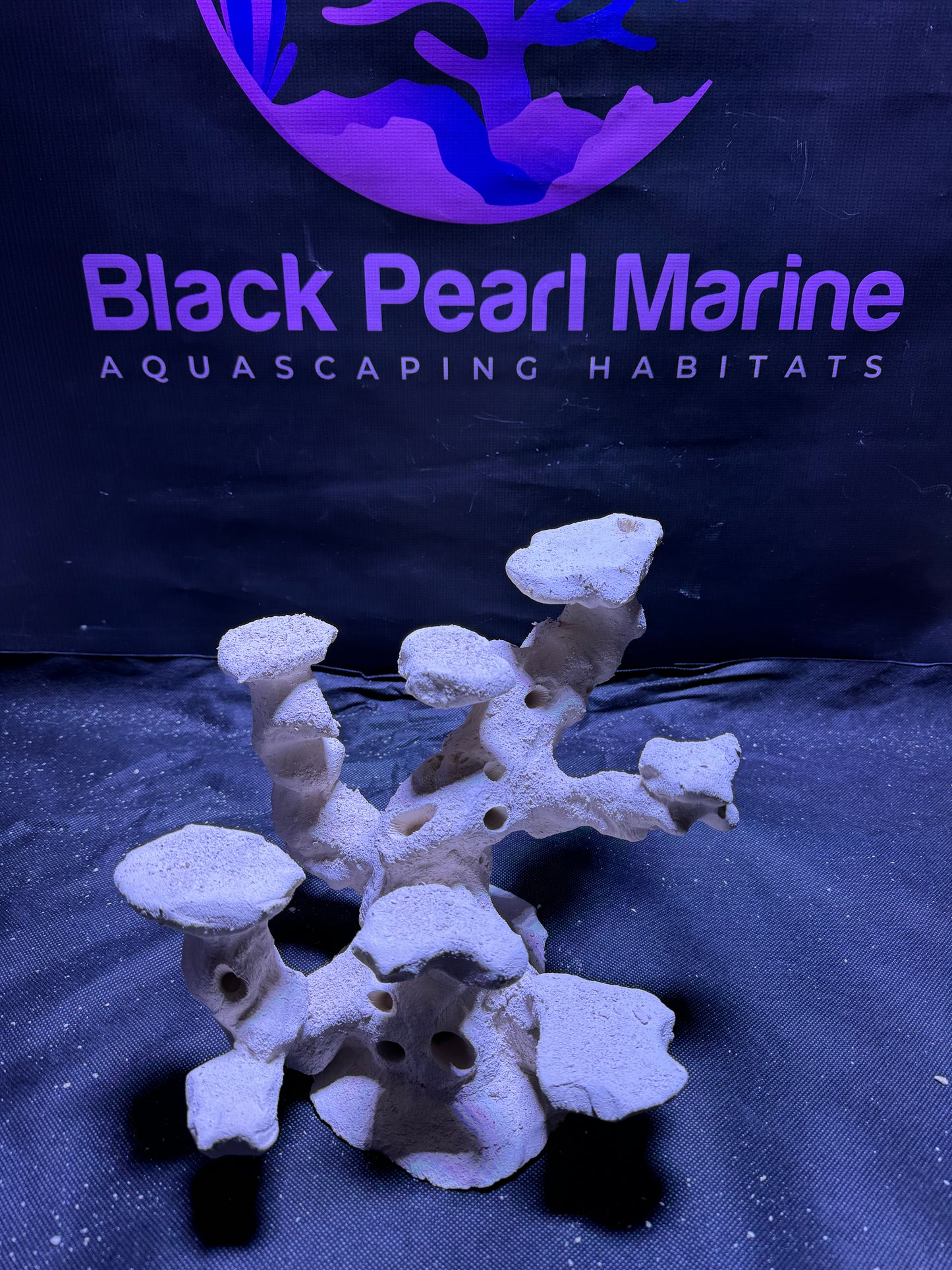 Ceramic Reef Rock Platform