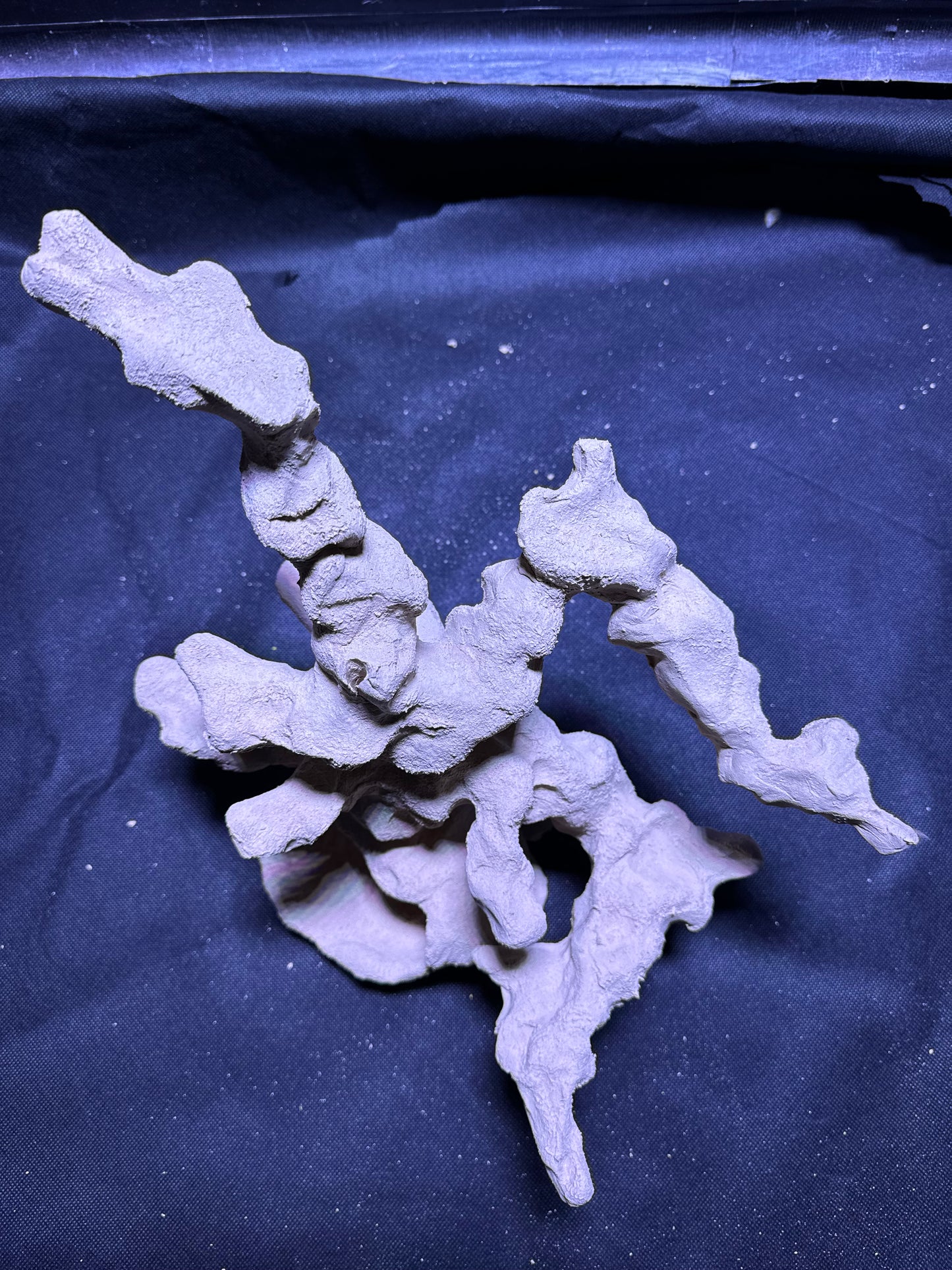 Ceramic Reef Rock Habitat