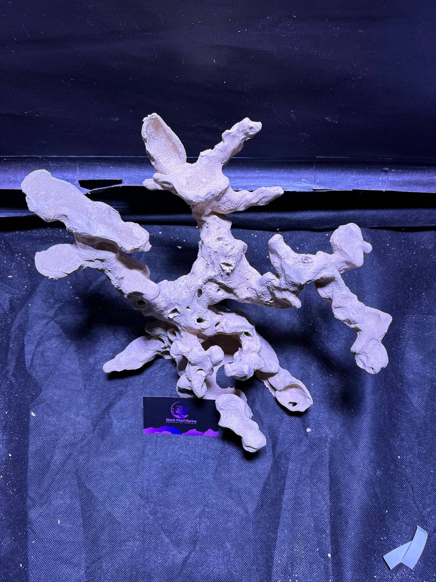 Ceramic Reef Rock Individual