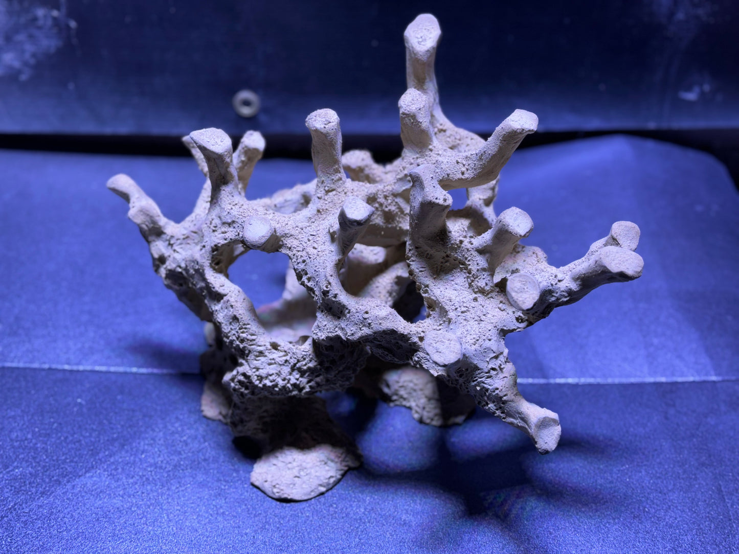 Ceramic Reef Rock Branch