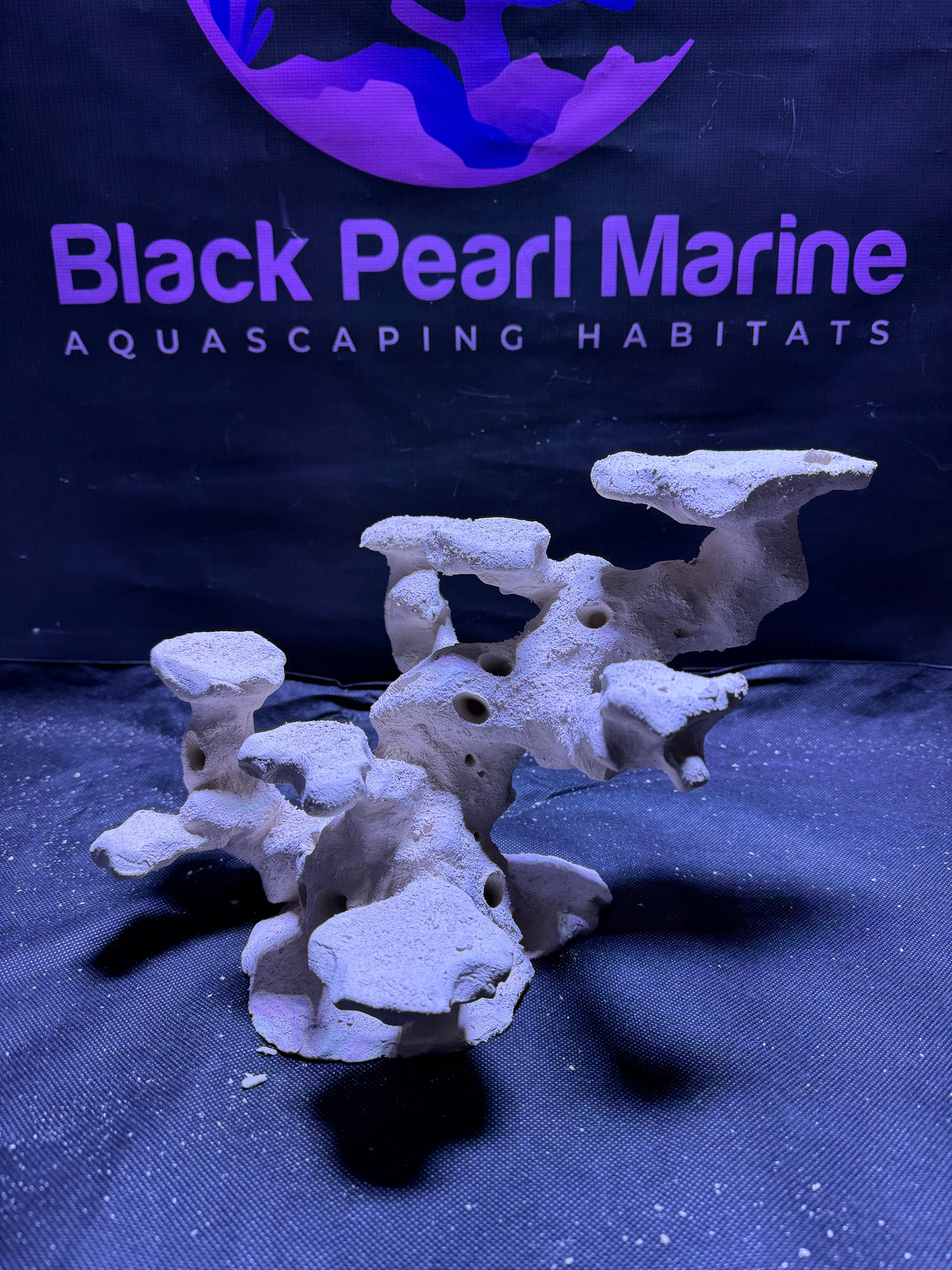 Ceramic Reef Rock Platform