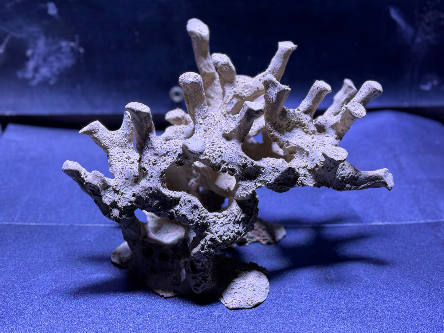 Ceramic Reef Rock Branch