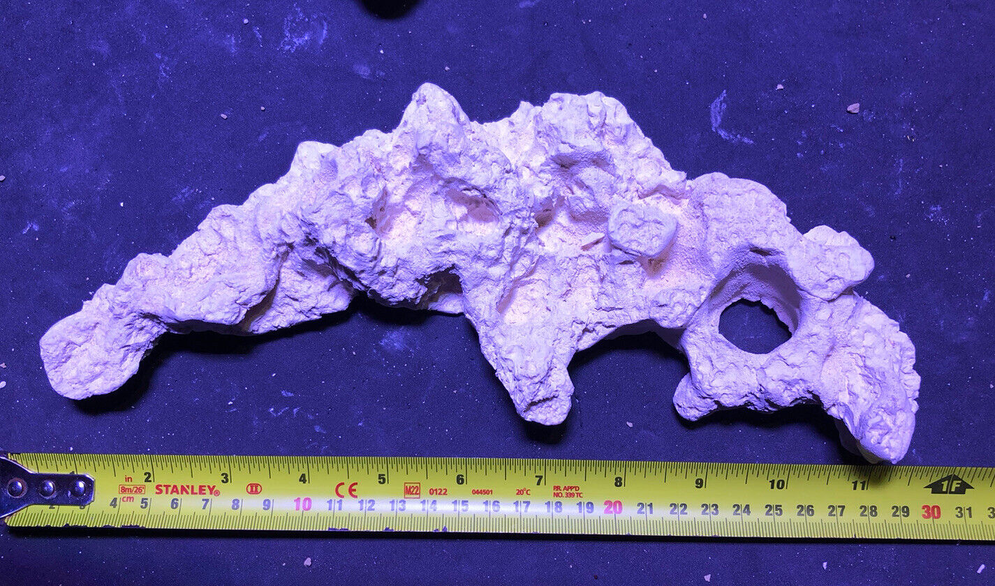 Reef Ceramic White Coral Arch/Habitat MarineFreshwater Aquarium Decoration 4PCS