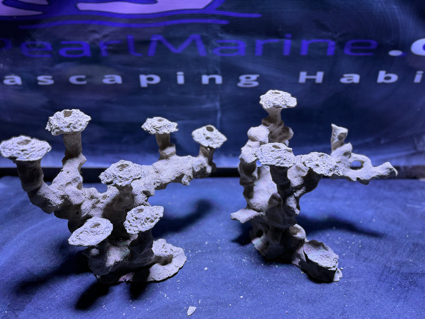 Ceramic Reef Floating Frag Tree Set