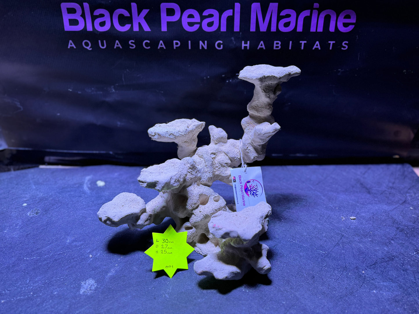 Ceramic Reef Platform