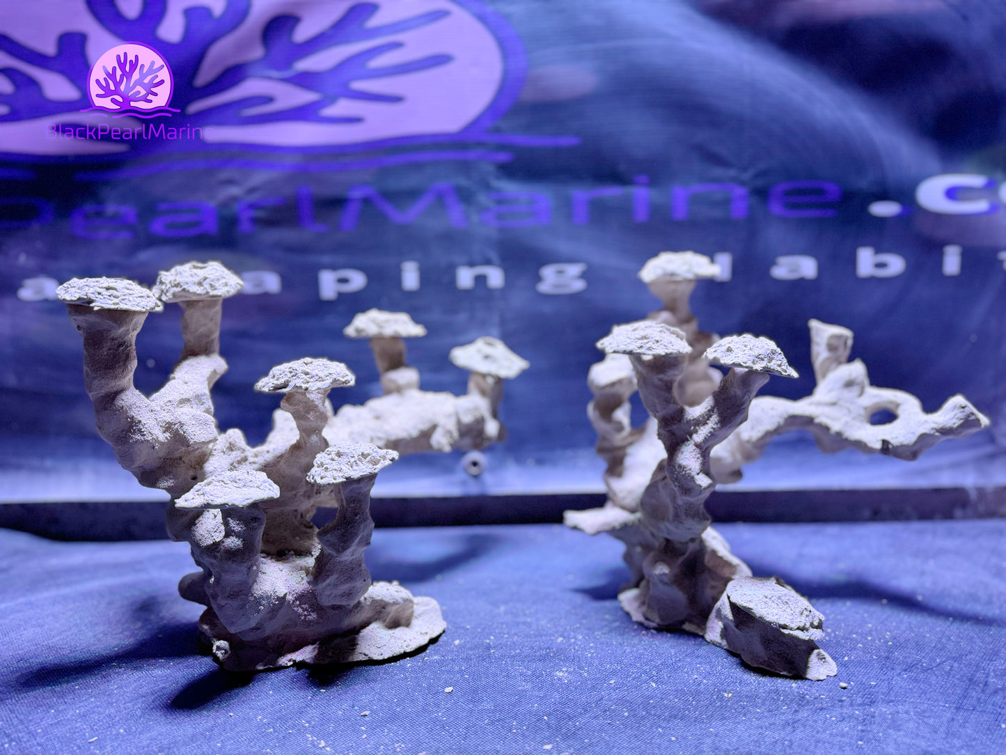 Ceramic Reef Floating Frag Tree Set