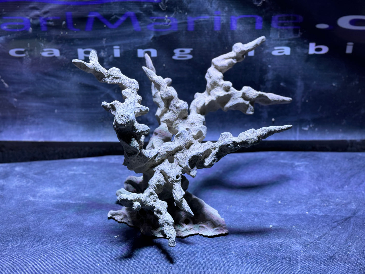 Ceramic Reef Rock Acro Branch