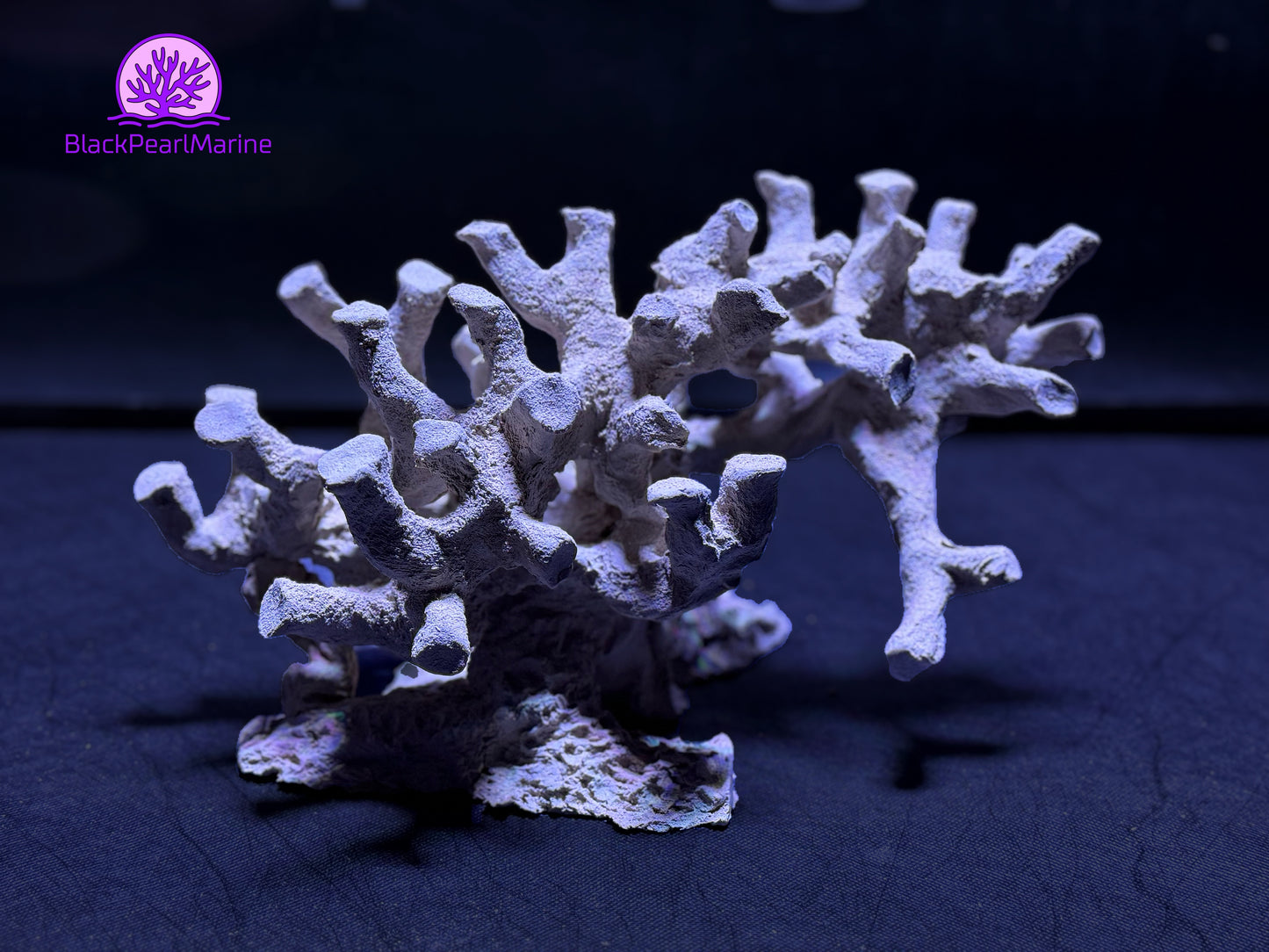 Ceramic Reef Rock