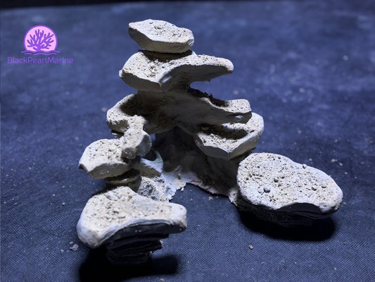 Ceramic Nano Reef Rock