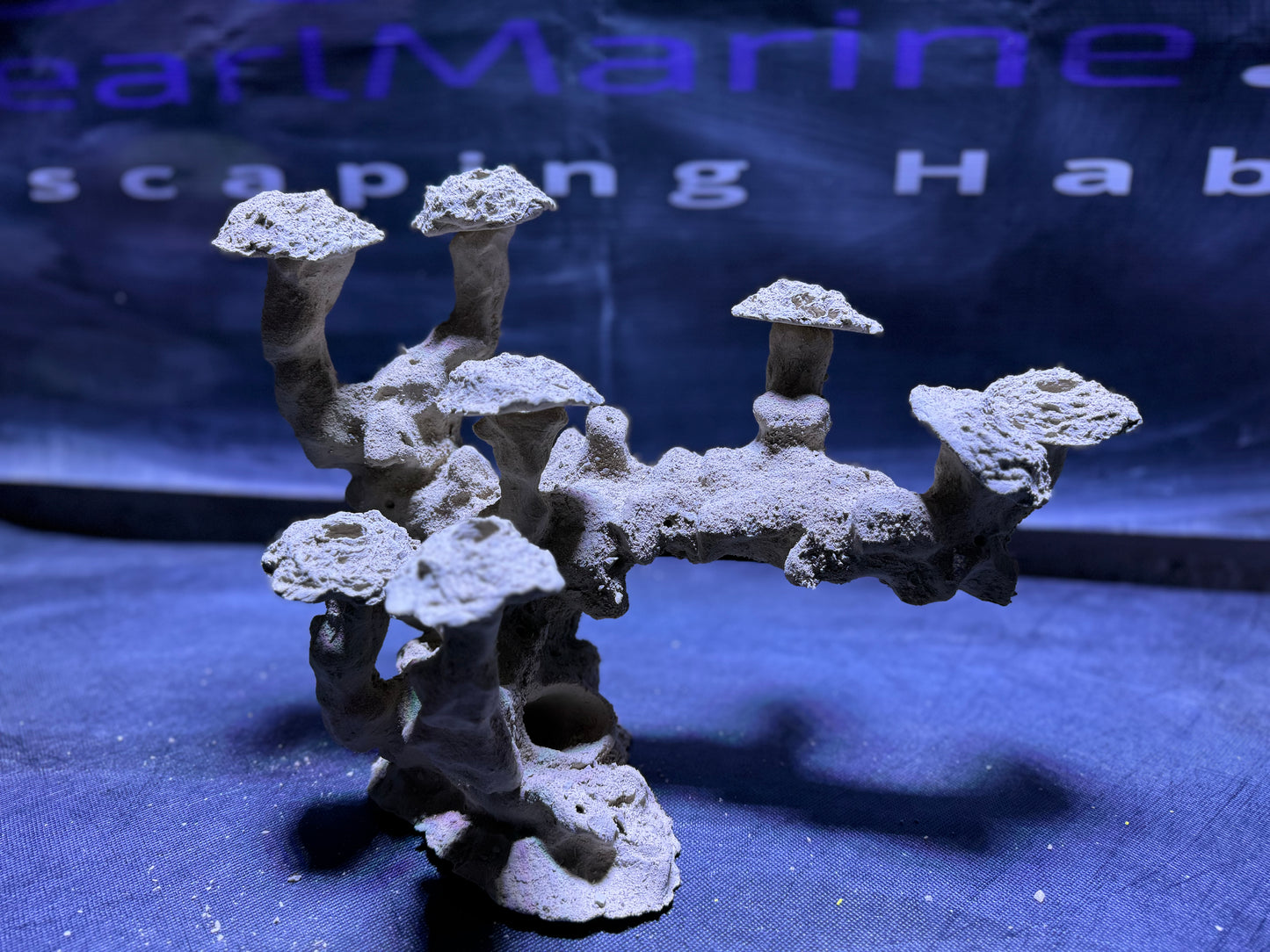 Ceramic Reef Floating Frag Tree Set