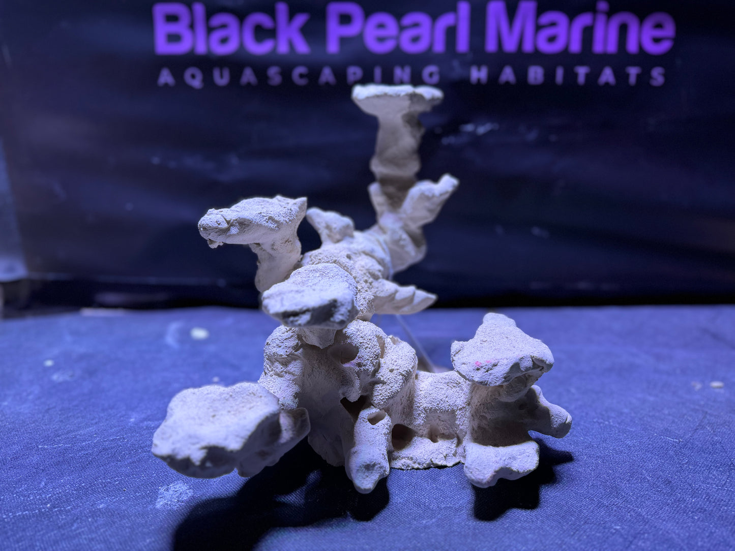 Ceramic Reef Platform