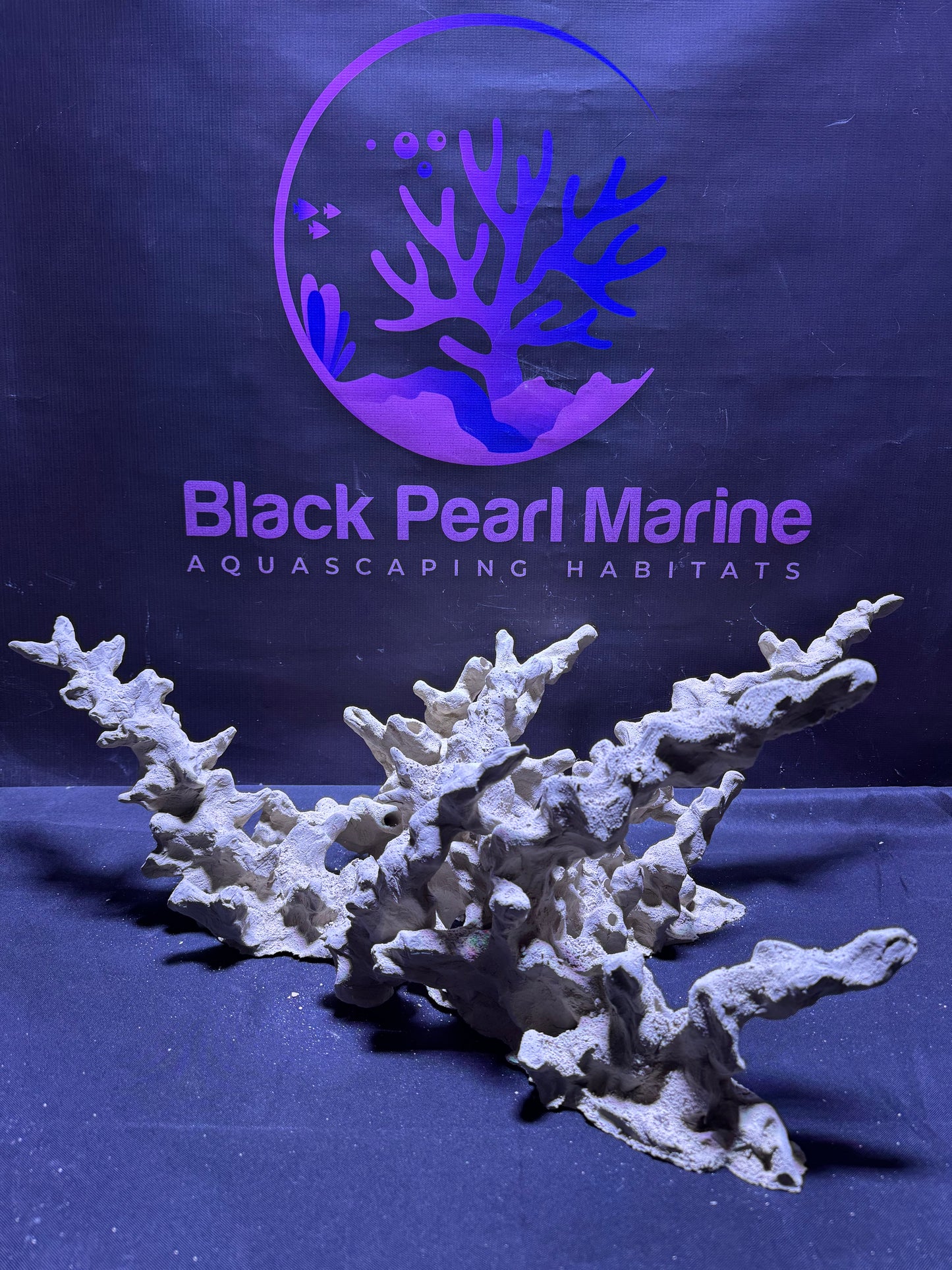 Ceramic Reef Rock Branching Set 061124