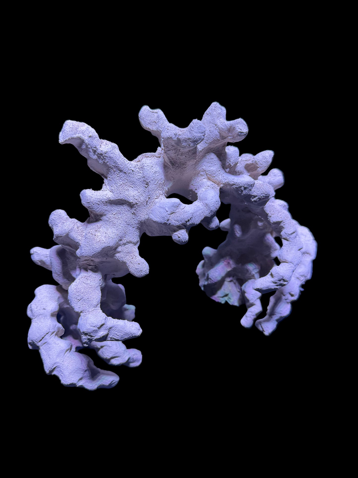 Fossilized coral specimen on a blue background