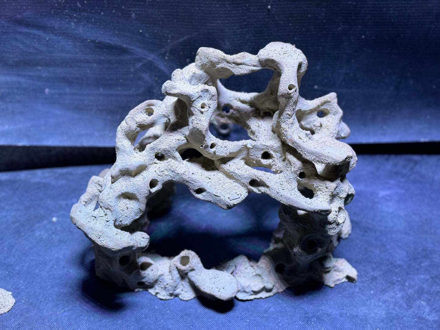 Ceramic Reef Rock Habitat Set