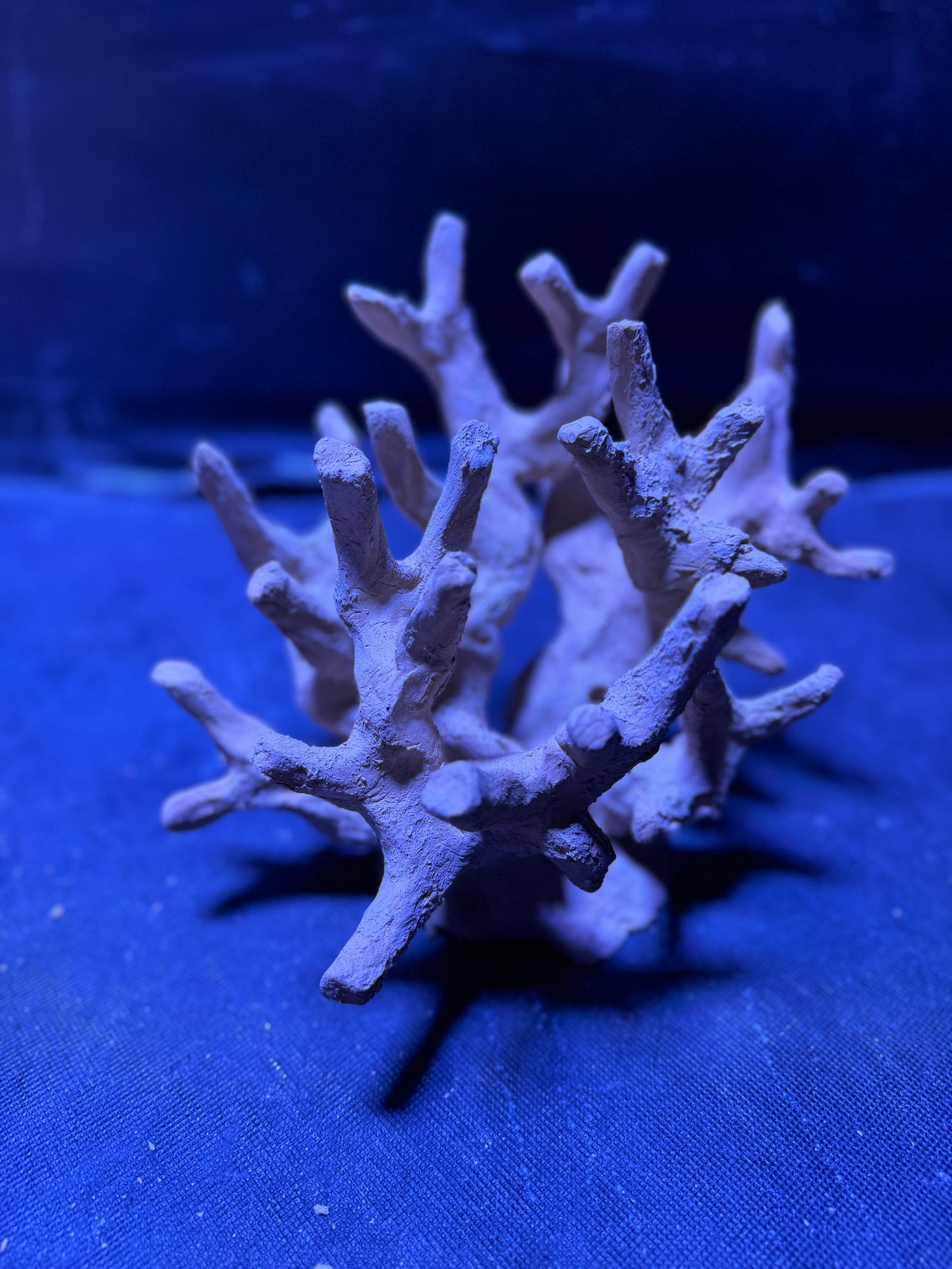 Ceramic Reef Rock Branching (S)