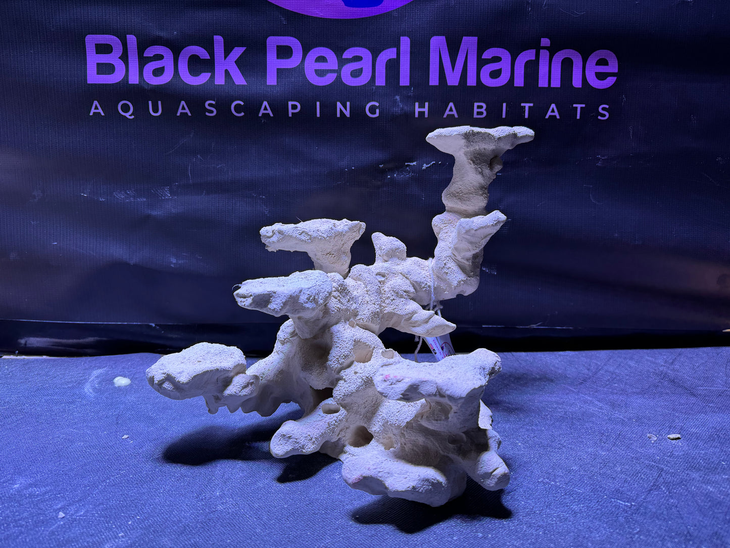 Ceramic Reef Platform