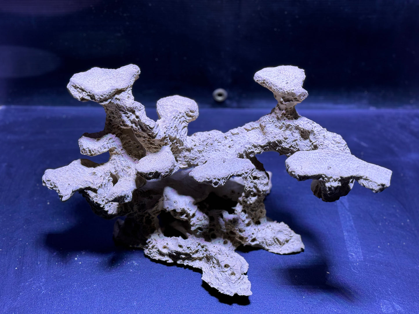 Ceramic Reef Rock