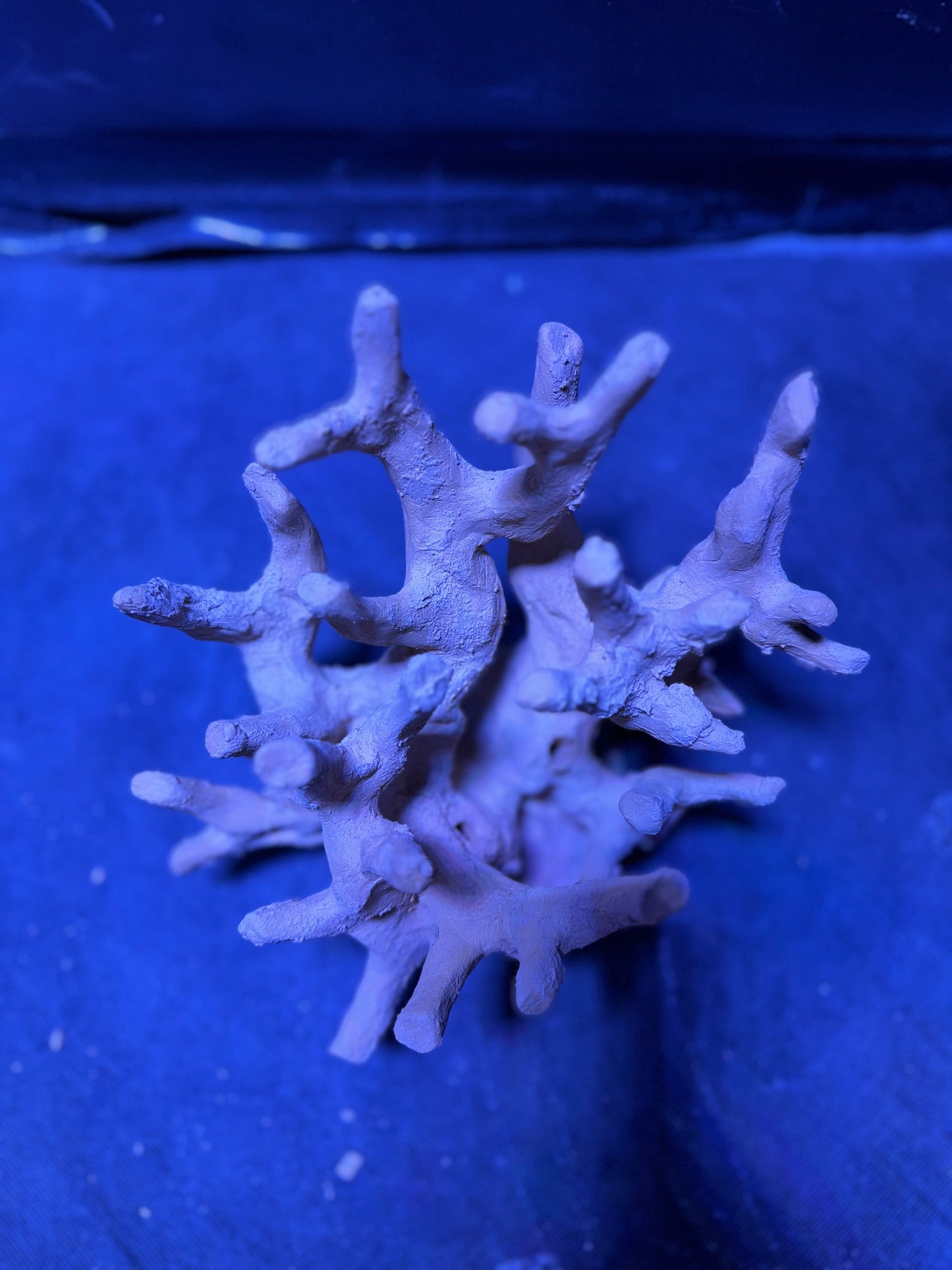 Ceramic Reef Rock Branching (S)