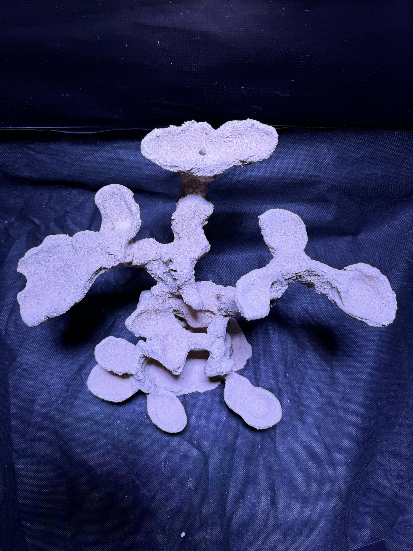 Ceramic Reef Rock Individual