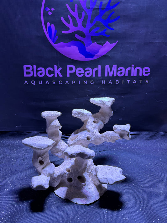 Ceramic Reef Rock Platform