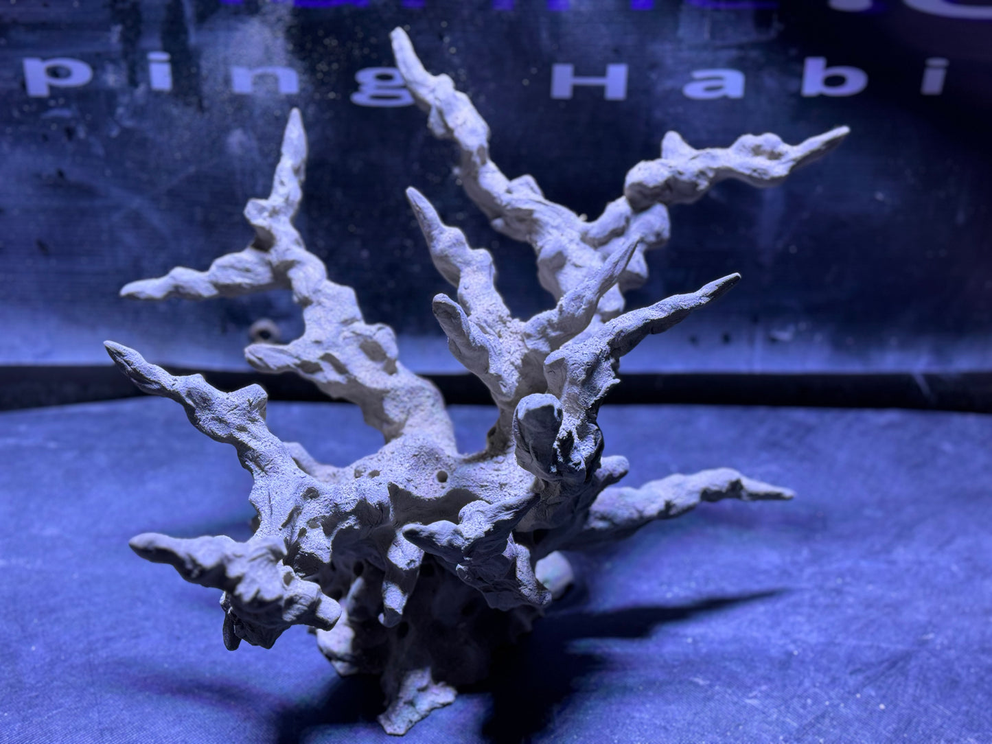 Ceramic Reef Rock Acro Branch Set